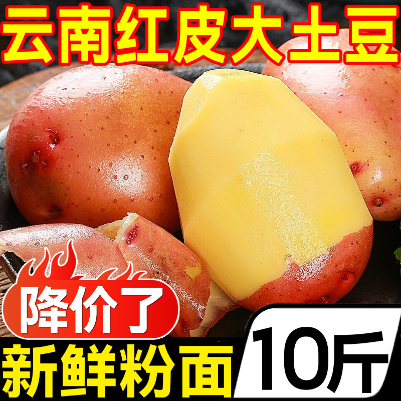 云南特产红皮大土豆10斤新鲜洋芋黄心马铃薯农家自种蔬菜批发包邮