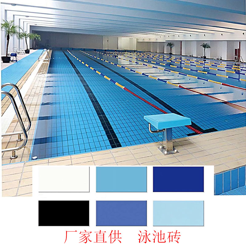 厂家 国际标准游泳池瓷砖115x240体育馆学校室内蓝色水池防水地砖