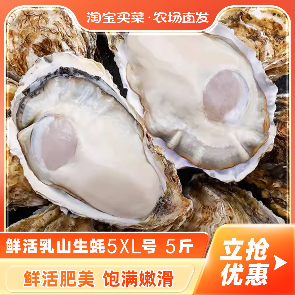 鲜活乳山生蚝5XL 5斤新鲜牡蛎超大肉海蛎子带壳刺身即食海鲜水产