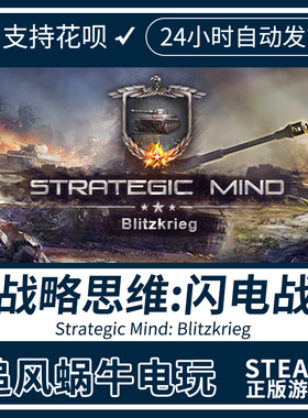 PC正版 steam游戏 战略思维:闪电战 Strategic Mind: Blitzkrieg