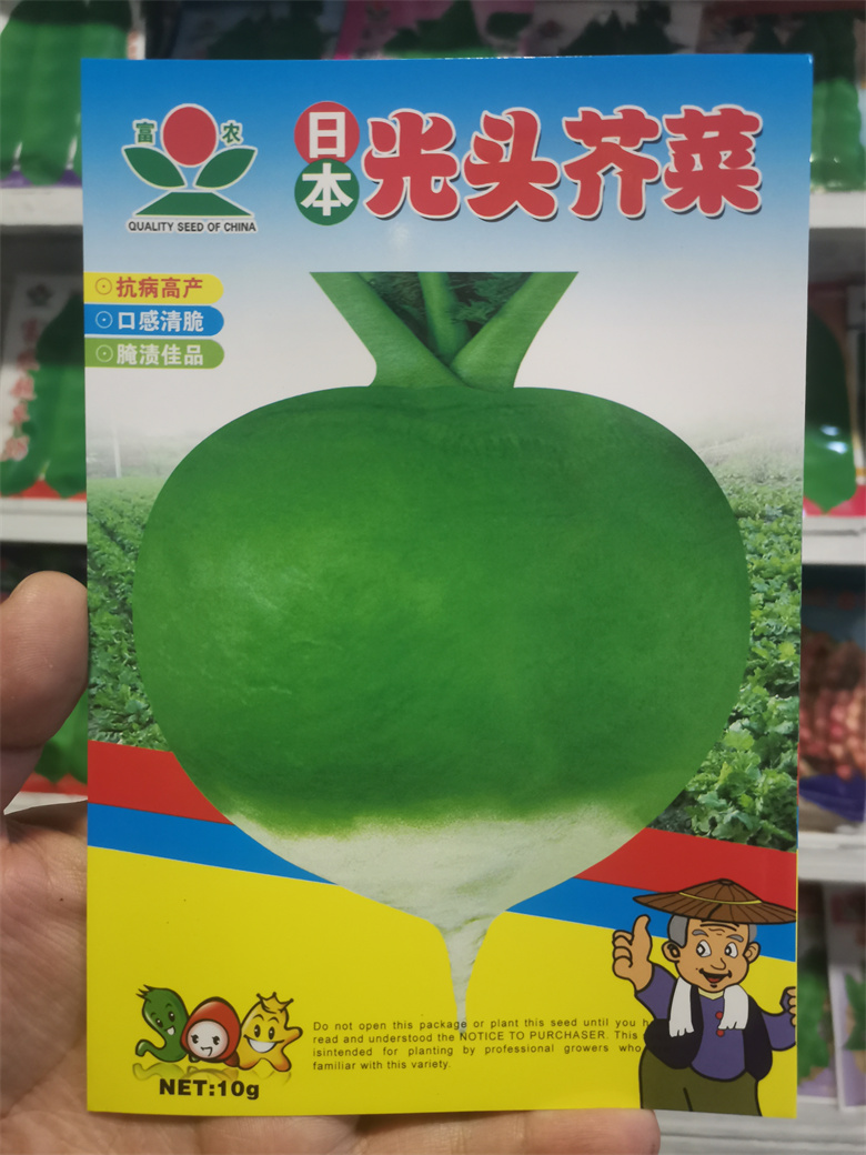 东北蔬菜种子日本光头芥菜种子芥菜疙瘩种子小花樱芥菜10克包邮