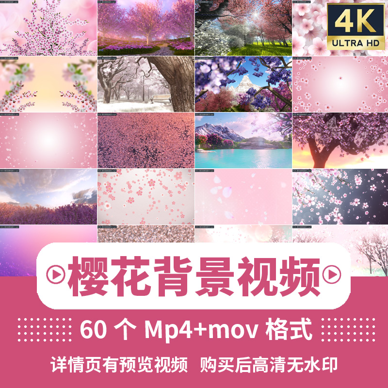 4K樱花唯美背景中国古风粉色浪漫表演舞台LED大屏幕动态视频素材