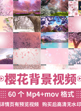 4K樱花唯美背景中国古风粉色浪漫表演舞台LED大屏幕动态视频素材