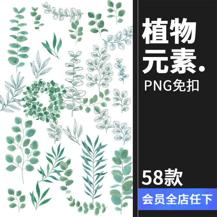唯美森系绿色植物树叶手绘水彩线稿边框海报AI矢量PNG免扣PS素材