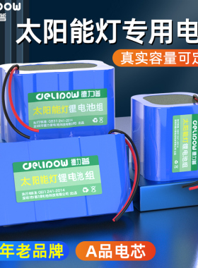 德力普太阳能路灯锂电池组大容量3.2v户外电源6.4伏监控12V蓄电池