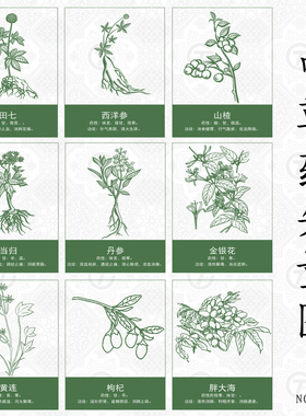 手绘中草药植物线稿纹样平面包装设计辅助图形Ai矢量插画素材免抠