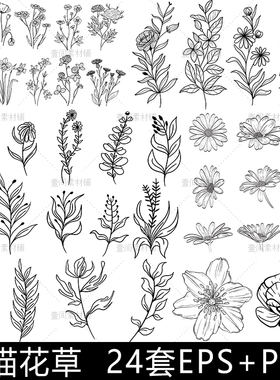 HH97线描线稿简笔画花草白描素描临摹花卉植物图案矢量素材图PNG
