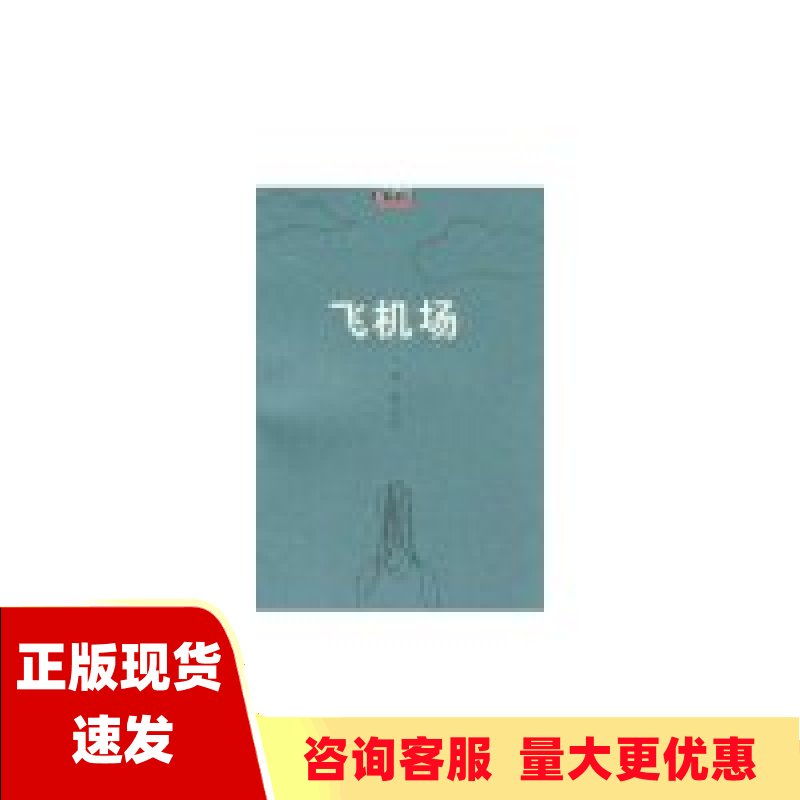 【正版书包邮】飞机场刘迪上海文艺出版社