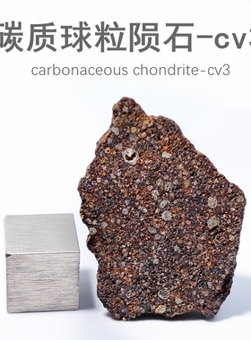 天然NWA西北非石陨石切片碳质球粒陨石CV3反常型橄榄辉石科普标本
