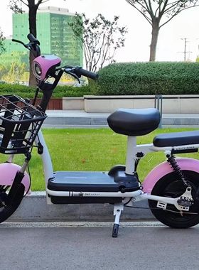 新款48伏新国标电动自行车双人两轮成人学生女士电瓶车代步车2023