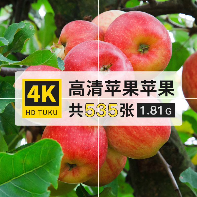苹果温带红苹果水果超高清4K壁纸电脑图片ps海报背景大图jpg素材