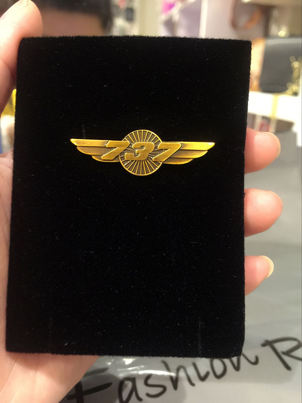 B0EING波音737徽章复古金色翅膀飞机机型徽章飞行纪念品