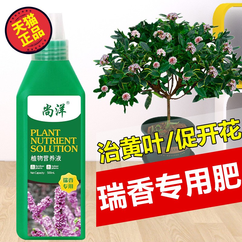 金边瑞香专用肥料营养液室内盆景养花肥料盆栽通用型促开花家用