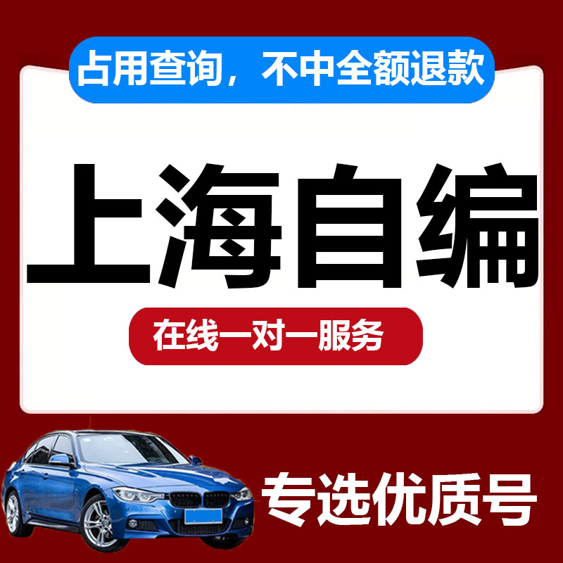 上海沪A沪B选号车牌数据库新能源汽车12123自编车牌照占用查询