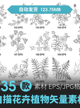 矢量AI手绘黑白草本植物花卉线稿线描白描图案设计素材包装图片