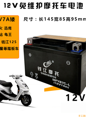 适用钱江蓝宝龙QJ150-17A/125T-3A摩托车电瓶125踏板车蓄电池12V
