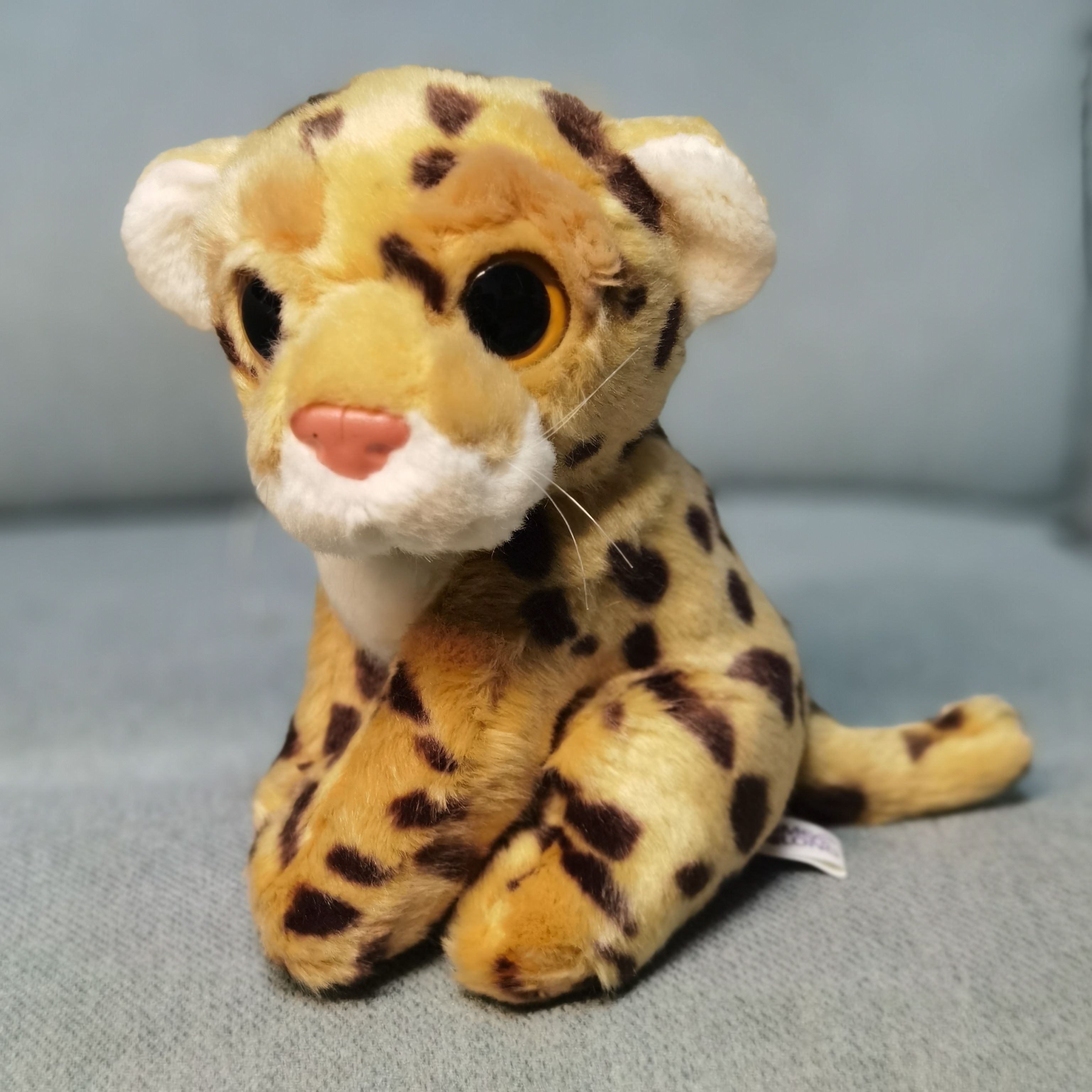 广州长隆野生动物世界公仔小豹子大眼萌娃娃孩子礼物