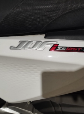 适用于宗申巧虎JOF摩托车脚垫ZS125T-59防滑丝圈脚垫改装踏板踩垫