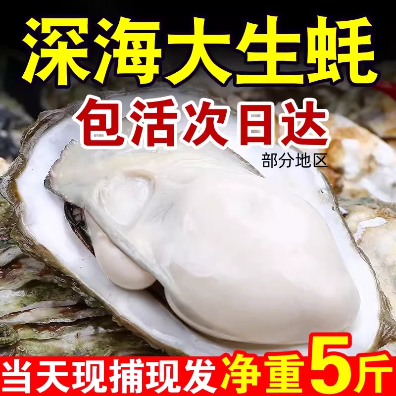 正宗乳山生蚝新鲜牡蛎包活特大超大肉海蛎子5斤海鲜水产鲜活烧烤