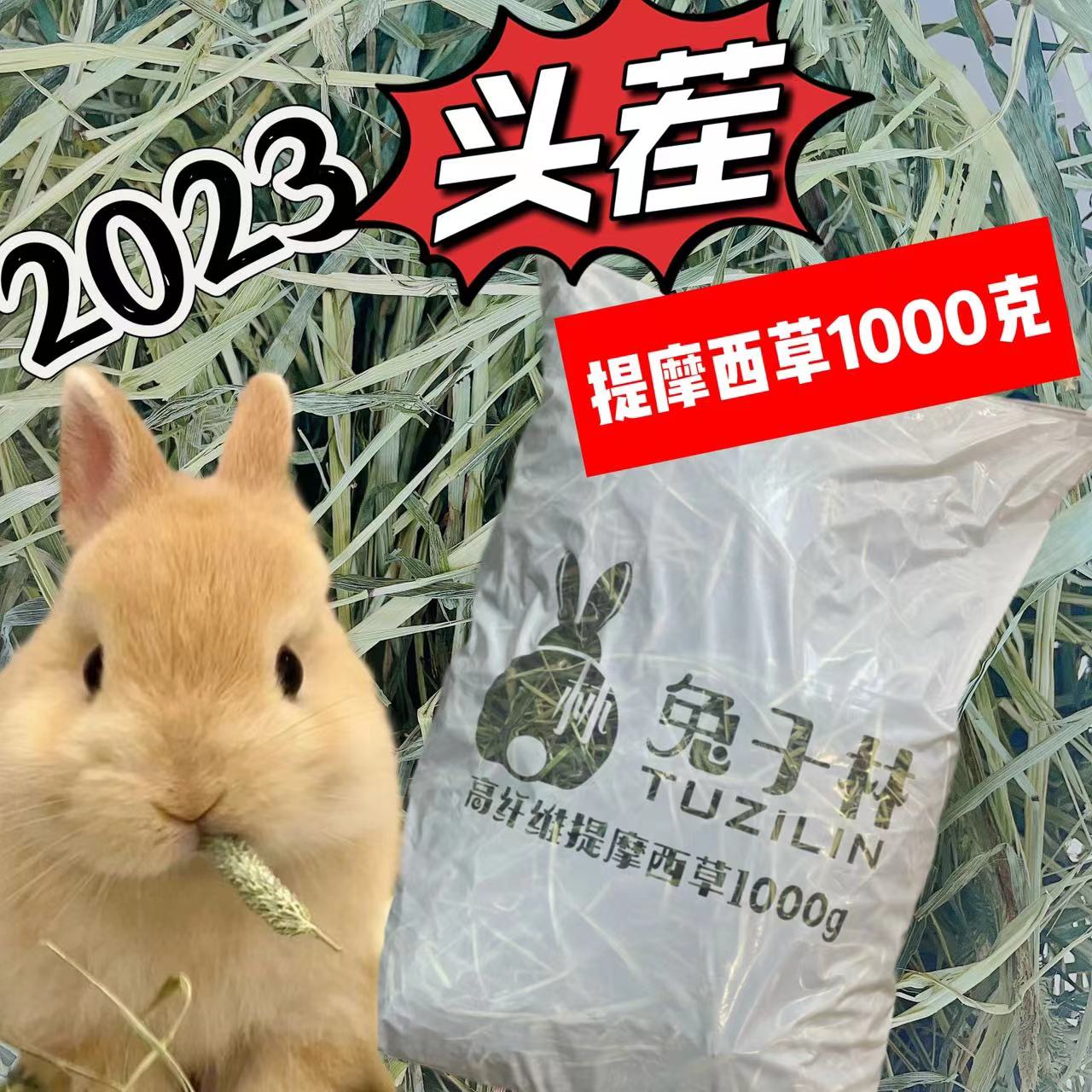 兔子林-2023提草提摩西草提木西兔子草 草场直供 鲜绿嫩1000g