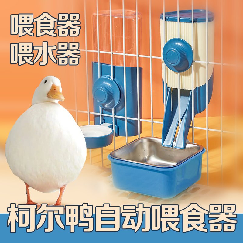 柯尔鸭自动喂食器防浪费食盆大鹅芦丁鸡喂水器小兔子槽用品饮水器