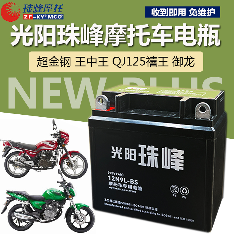 钱江卧龙 祥龙 禧王 王中王QJ125摩托车免维护蓄电池12V9A干电瓶