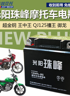 钱江卧龙 祥龙 禧王 王中王QJ125摩托车免维护蓄电池12V9A干电瓶