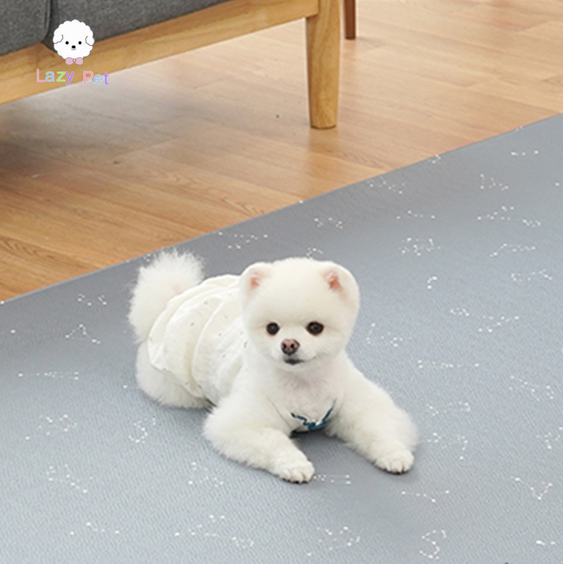 「Lazy Pet」韩国代购宠物猫狗居家玩耍缓冲护膝防水降噪地垫