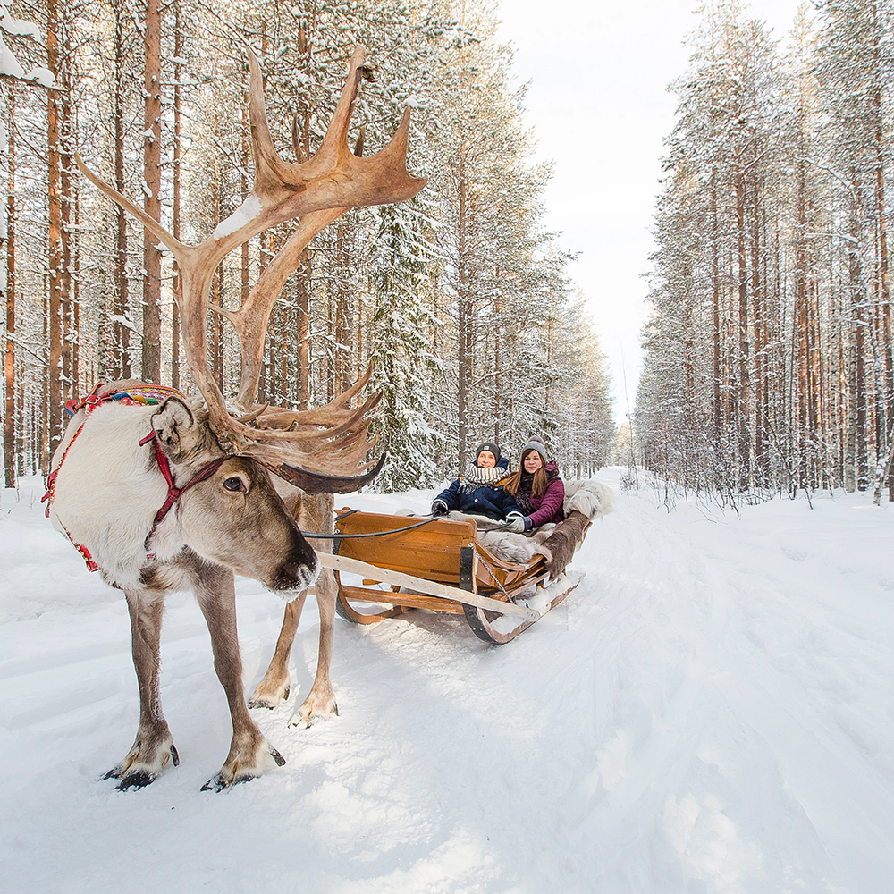 芬兰斯万斯坦滑雪两日游偶遇北极光鹿拉雪橇冬季垂钓含两晚玻璃屋