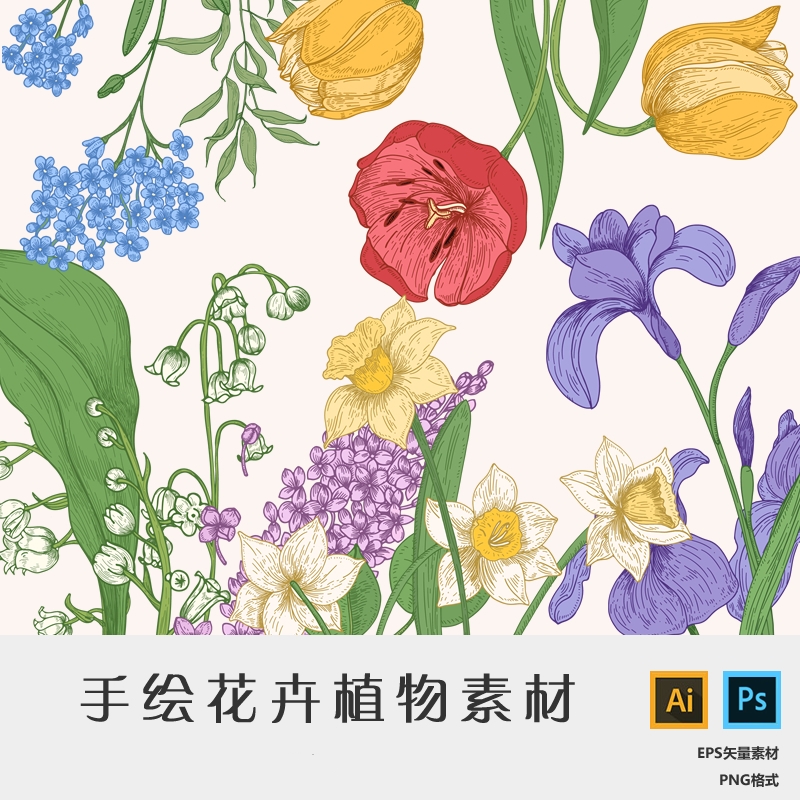 923清新复古手绘花卉植物花朵插图铃兰绣球水仙郁金香ai矢量素材