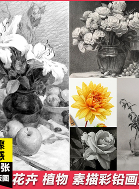 花卉植物百合玫瑰素描步骤彩铅手绘画画临摹联考校考考研图片素材