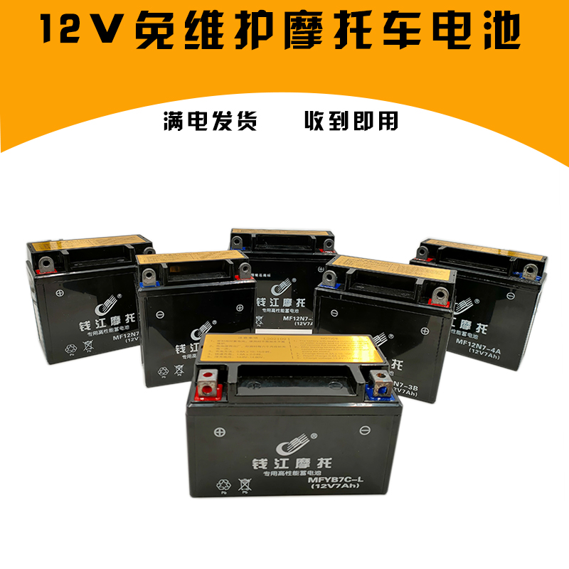 适用钱江QJ125-6A-6M-6T-8K-7禧王 御龙摩托车电池免维护干电瓶