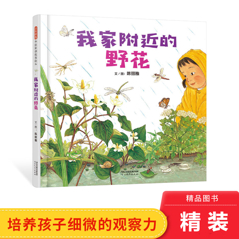 我家附近的野花精装绘本适合1-2-3岁幼儿园推荐图画书跟“植物小侦探”认识身边的野花培养观察力启发童书馆正版童书