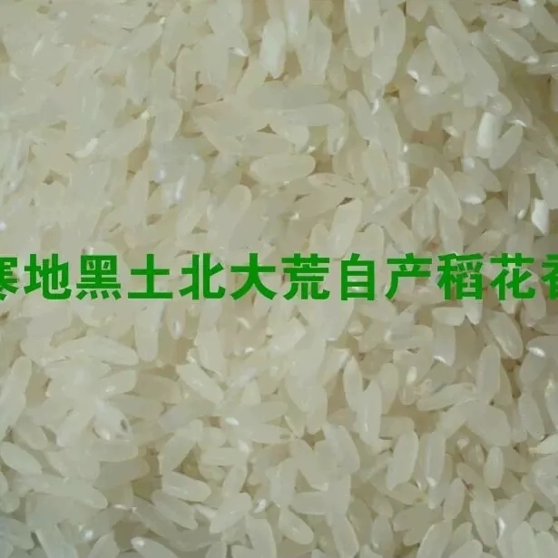 东北黑龙江省绥化市一级长粒香小五常稲花香大米一件10斤包邮