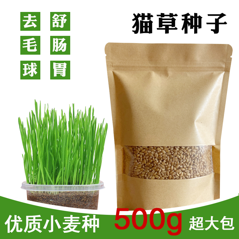 猫草种子一斤装一袋牛皮纸小麦无土水培种植化毛去毛球助消化草籽