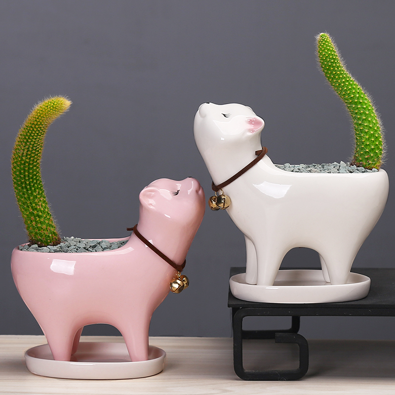 简约植物白色多肉花盆陶瓷创意个性可爱小号桌面仙人掌猫尾巴花器
