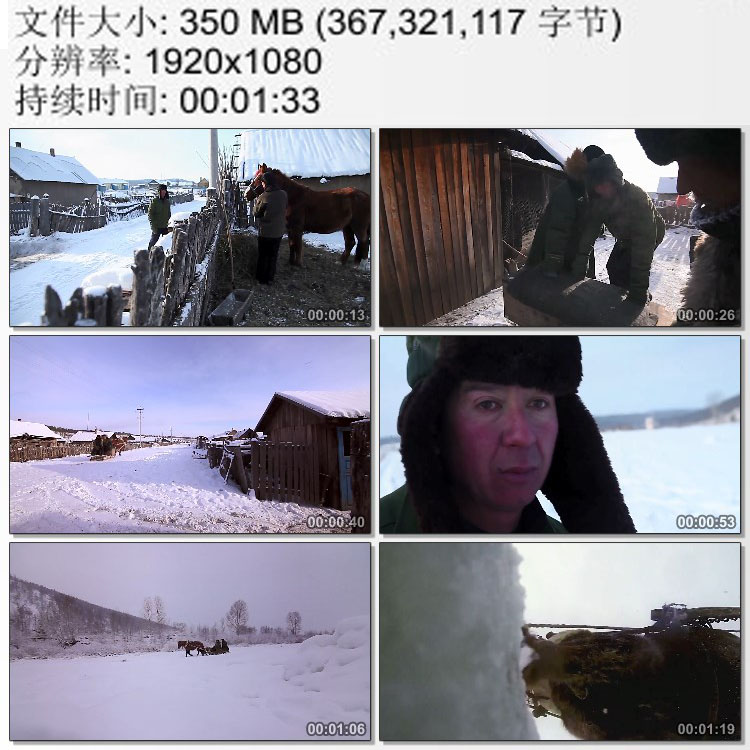 东北黑龙江的冬天 极寒天气 冰天雪地 马爬犁雪橇 高清视频素材