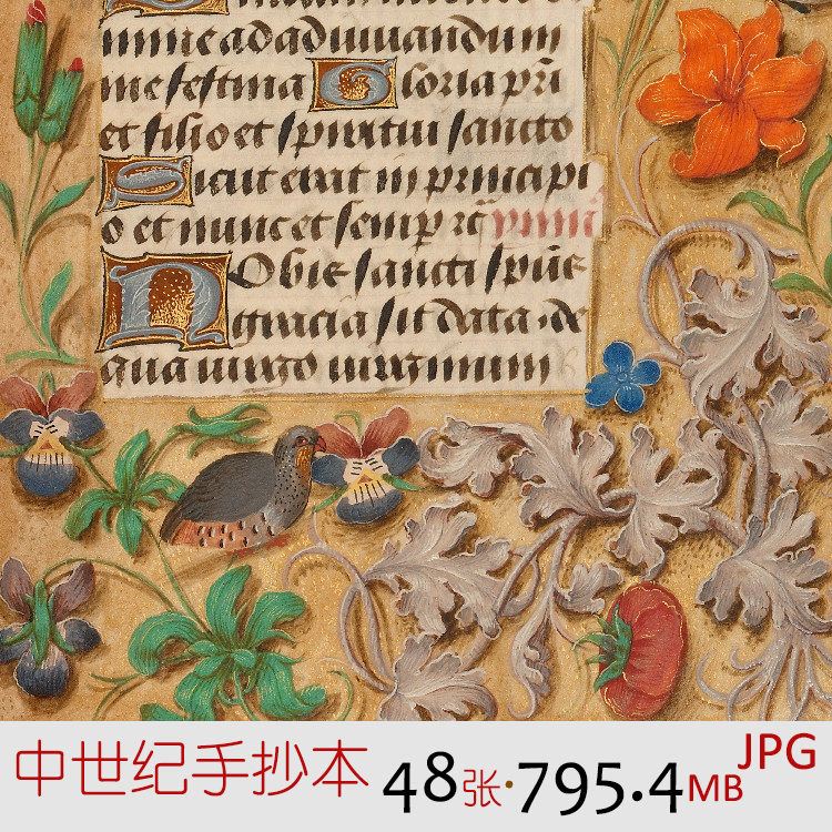 G022中世纪手抄本装饰艺术植物花纹昆虫图案手绘参考美术设计素材