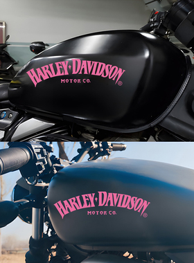 摩托车贴纸适用哈雷883印第安纳哈雷油箱反光贴花改装车装饰贴画