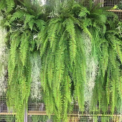 仿真波斯厥叶蕨类植物假花草绿色叶子婚庆软装插花配材背景墙装饰