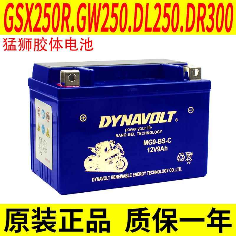 适用铃木骊驰GW250F/S DL250 GSX250R DR300猛狮电瓶YTX9-BS电池