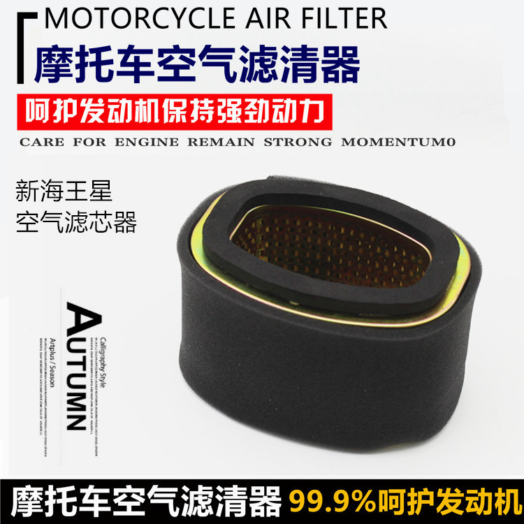 摩托车红宝UA125T-A天玉 天龙星 新海王星 空气滤芯 空气滤清器