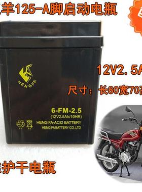 老WY125-A摩托车电瓶12V2.5A-3C脚踩打火GL125电池YB2.5L