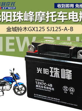 适用金城铃 木GX125/SJ25-A-B男士摩托车珠峰电池12V7A免维护通用