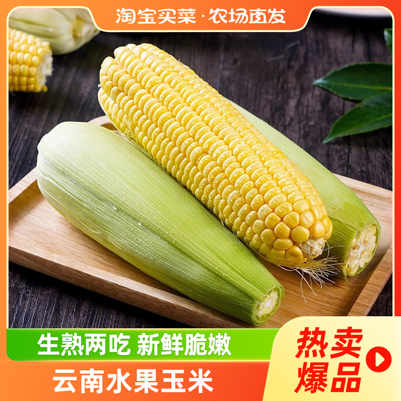 云南高原水果玉米新鲜现摘蔬菜嫩甜棒子即食可生吃芭芭农场