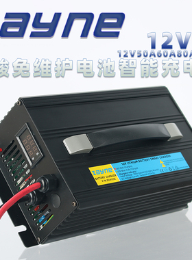12V50A60A80A100A智能充电器 适用铅酸免维护水电池船舶户外储能