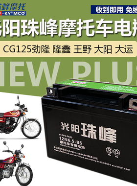 男装摩托车干电瓶王野CG125隆鑫大阳大运大福珠江珠峰电池12V6.5A