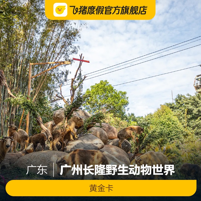 [广州长隆野生动物世界-黄金卡]广州长隆野生动物世界-黄金卡