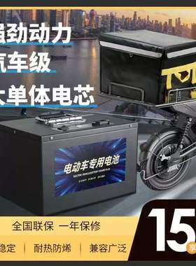 电动车锂电池48V60V大容量快递外卖全新车摩托两轮三轮车 专用