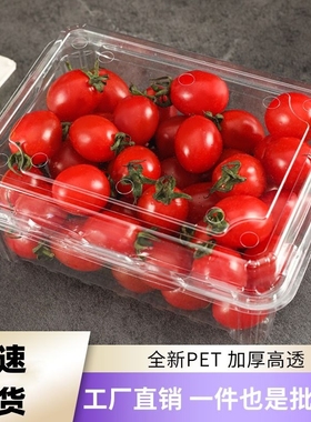 xybp一次性水果包装塑料带盖透明水果店车厘子草莓打包盒子食品